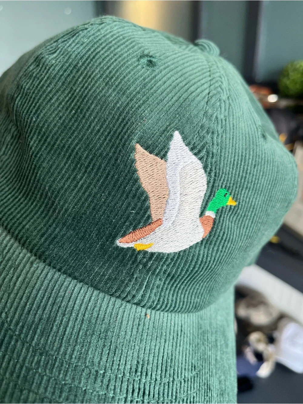 Green Corduroy Duck Embroidered Pet Bird Cap
